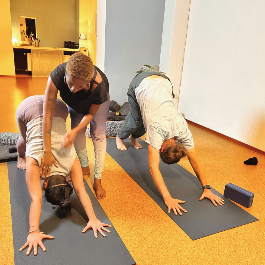 Adjustment Ausrichtung Hilfestellung Yoga Workshop